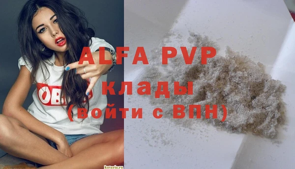 сатива Переславль-Залесский