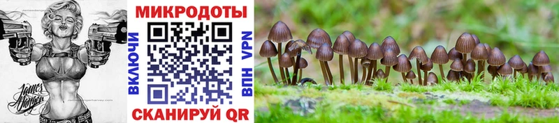 Псилоцибиновые грибы мухоморы  Нариманов 