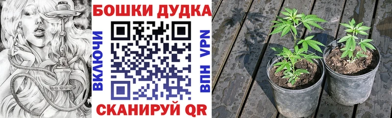 закладки  Нариманов  Шишки марихуана VHQ 