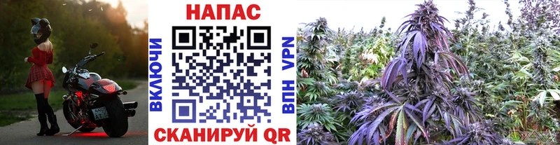 Бошки Шишки VHQ Нариманов